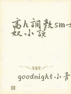 高h调教sm女奴小说