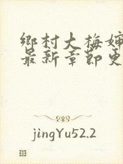 乡村大梅婶小说最新章节更新时间