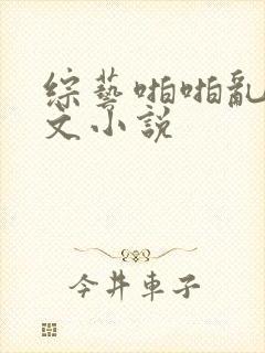 综艺啪啪乱淫h文小说