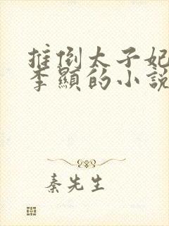 推倒太子妃开始李显的小说