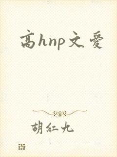 高hnp文爱