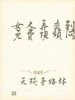 女人弄爽到高潮免费视频网站