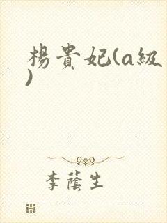 杨贵妃(a级片)封面