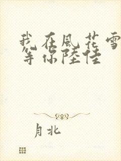 我在风花雪月里等你陆佳封面