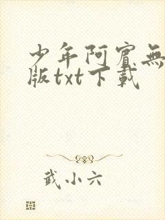 少年阿宾无删减版txt下载