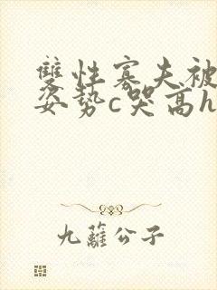 双性寡夫被各种姿势c哭高h小说在线阅读封面