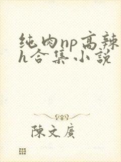 纯肉np高辣文h合集小说