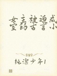 女主被迫成为妾室的古言小说