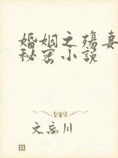 婚姻之殇妻子的秘密小说