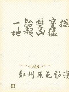 一胎双宝总裁爹地超凶猛