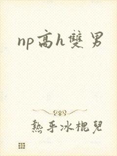 np高h双男