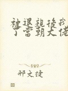 被退亲后我嫁给了当朝大佬 小说