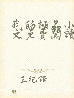 我的极品小姨全文免费阅读小说封面