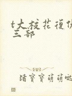 t大校花复仇第三部