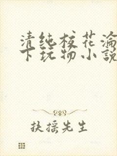 清纯校花沦为胯下玩物小说