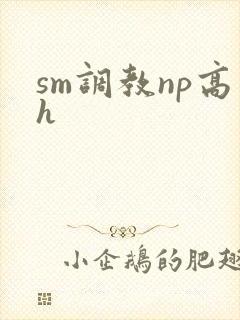 sm调教np高h封面