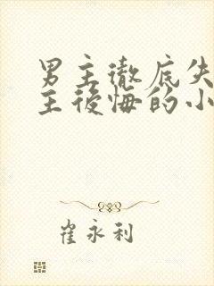 男主彻底失去女主后悔的小说