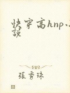 快穿高hnp小说