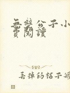 无双公子小说免费阅读