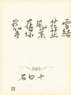 我在风花雪月里等你叶芷结局封面