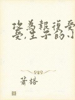 攻为报复受娶了受,生子的小说封面