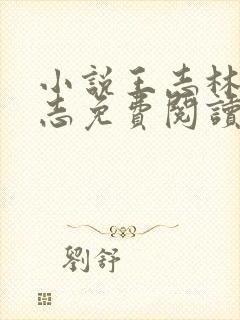 小说王志林姨王志免费阅读全文最新封面