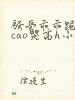 骚受乖乖跪趴被cao哭高h小说