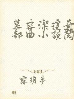 慕容洁琼奇缘四部曲小说阅读时间封面