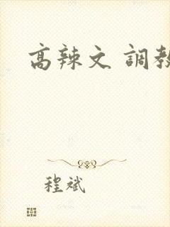 高辣文 调教