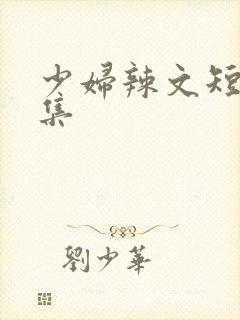 少妇辣文短篇合集封面