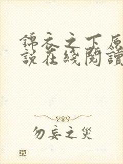 锦衣之下原著小说在线阅读封面