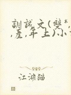 训诫文(双*,,产,年上)小说