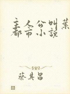 主人公叫叶枫的都市小说