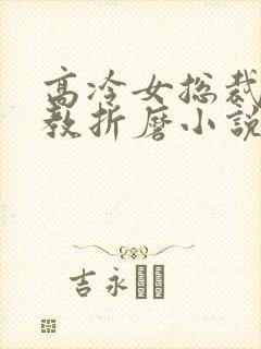 高冷女总裁被调教折磨小说封面