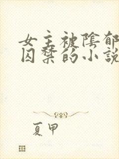 女主被阴郁疯批囚禁的小说封面