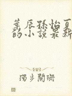 叶辰孙怡夏若雪的小说最新章节