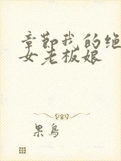 章节我的绝色美女老板娘