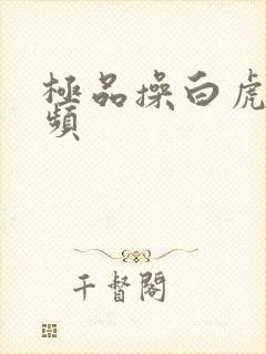 极品操白虎逼视频