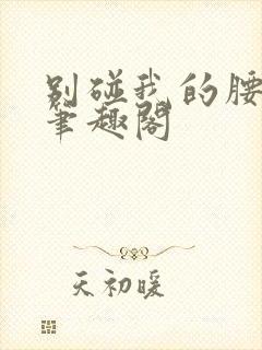 别碰我的腰小说笔趣阁