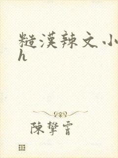 糙汉辣文小说纯h