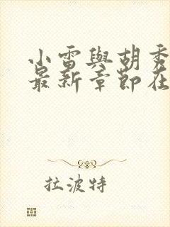 小雷与胡秀英的最新章节在线阅读小说封面