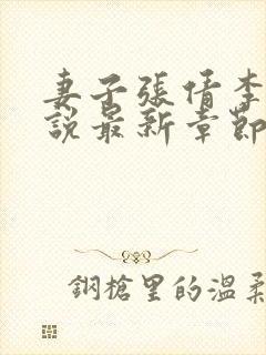 妻子张倩李源小说最新章节更新时间封面