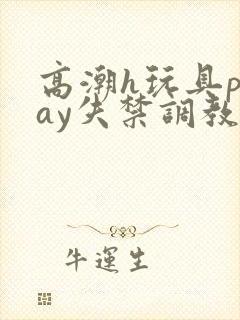 高潮h玩具play失禁调教小说