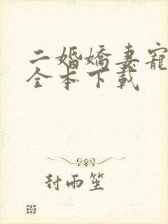 二婚娇妻宠上瘾全本下载