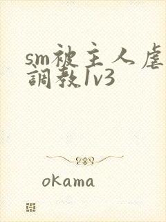 sm被主人虐玩调教1v3封面