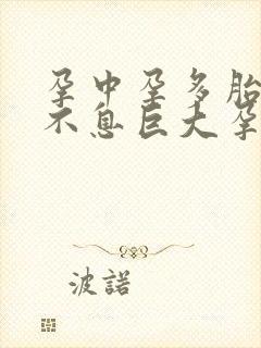 孕中孕多胎生生不息巨大孕肚