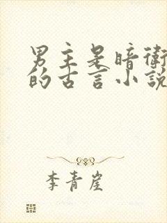 男主是暗卫死士的古言小说