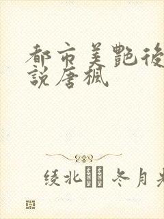 都市美艳后宫小说唐枫