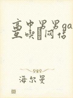 高中男男gay互吃鳮网站