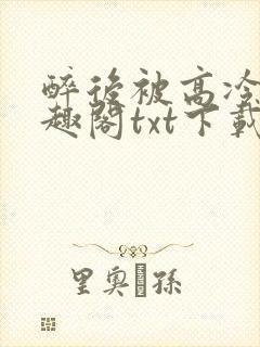 醉后被高冷哥笔趣阁txt下载